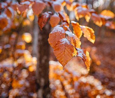 Image for Cooler Weather Is Here. Have You Prepped Your Home?